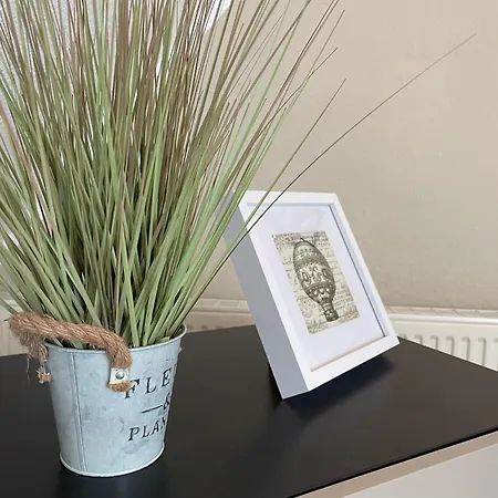 Am Dom - Smart-tv - Gratis Stellplatz - Einzelbetten - 5 Personen * Erfurt